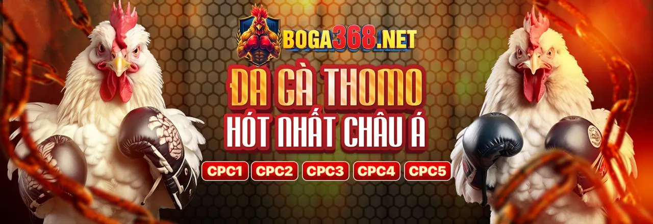Chiến lược cá cược thể thao hiệu quả tại win96 win